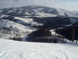 безопасные средства для похудения